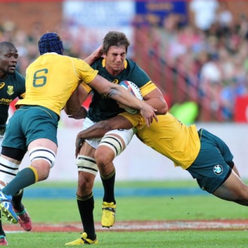 Wallabies vs Springboks preview