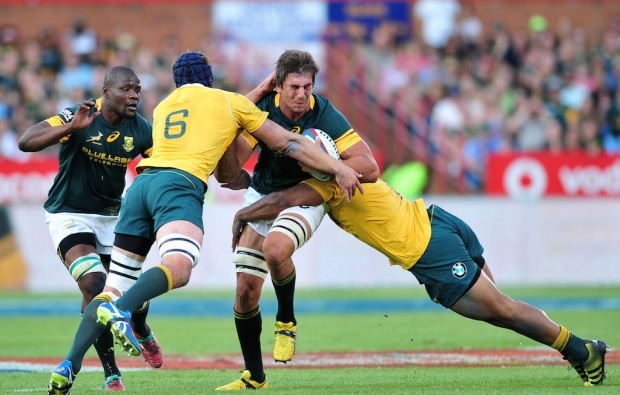 You are currently viewing Wallabies vs Springboks preview