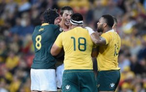 Read more about the article Springboks eye ‘heavyweight’ bout