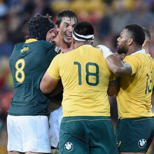 Springboks eye ‘heavyweight’ bout