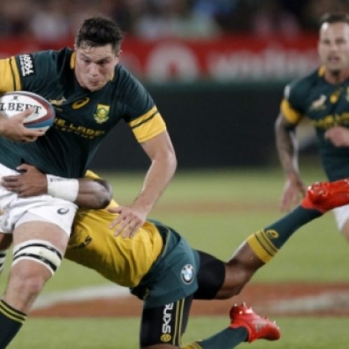 Louw ‘ready’ for Springbok return