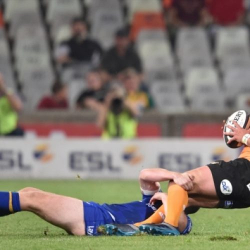 Cheetahs shock Leinster