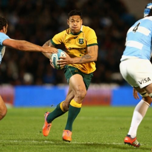 Preview: Wallabies vs Pumas