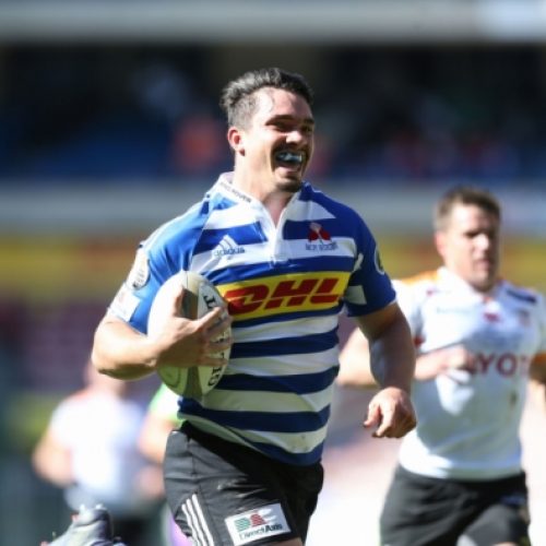 WP thrash Free State at Newlands