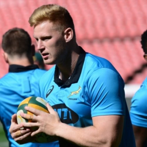 Du Preez, Dreyer start for Boks