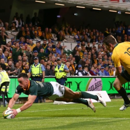 Springboks, Wallabies share spoils