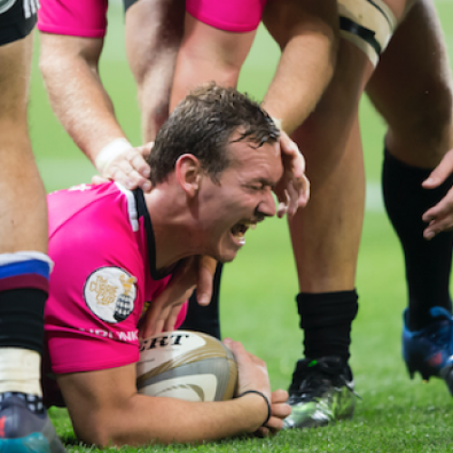 Pumas shock Western Province