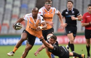 Read more about the article Cheetahs overpower Ospreys in Bloem