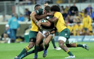 Read more about the article Springboks vs Wallabies preview