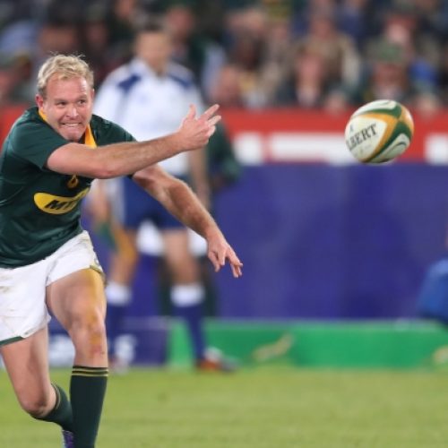 Cronjé to speed up Springbok game