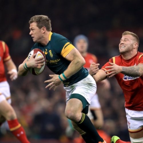 Battling Boks are no quick fix