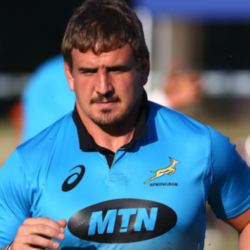 Dreyer joins Boks in Perth