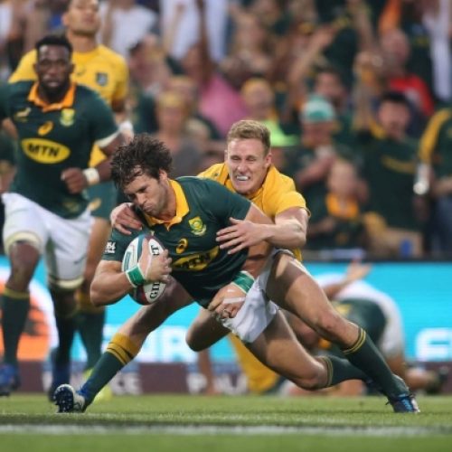 Springboks battle to disappointing draw