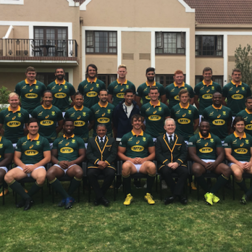 13 Springbok stats and facts
