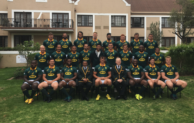 You are currently viewing 13 Springbok stats and facts