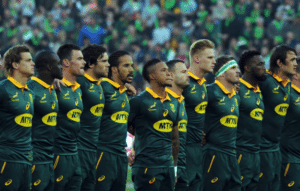Read more about the article 13 Springbok stats and facts