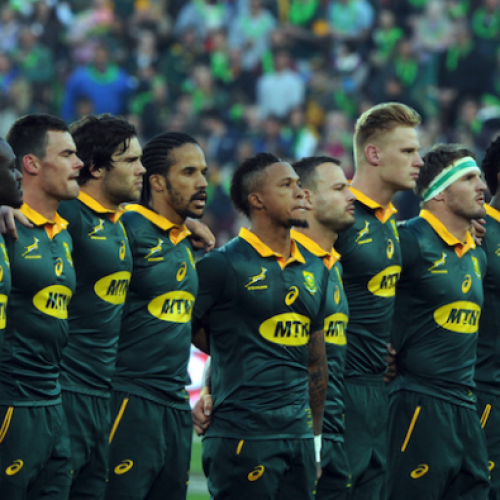 13 Springbok stats and facts