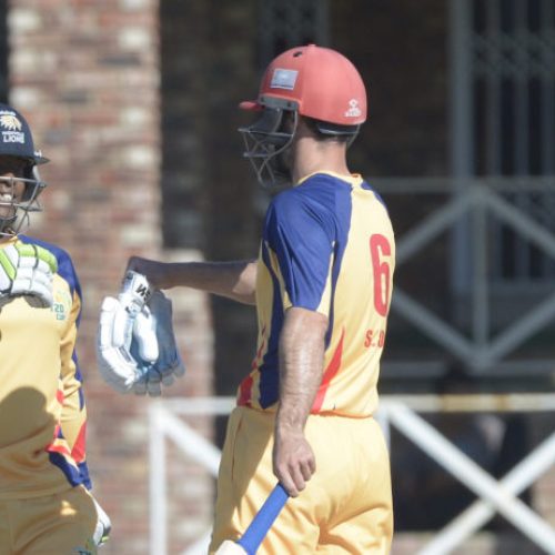 Mosehle 50 guides Gauteng into semis