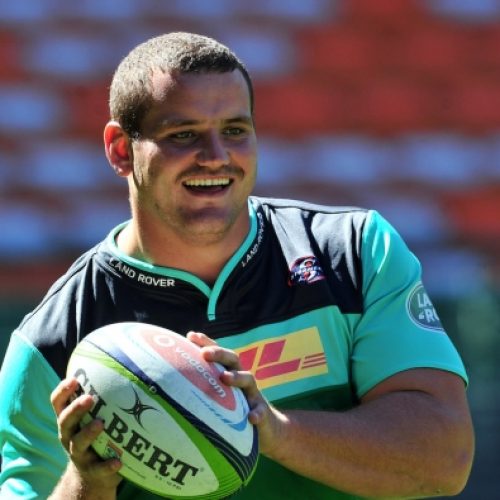 Louw replaces injured Coenie in Bok squad