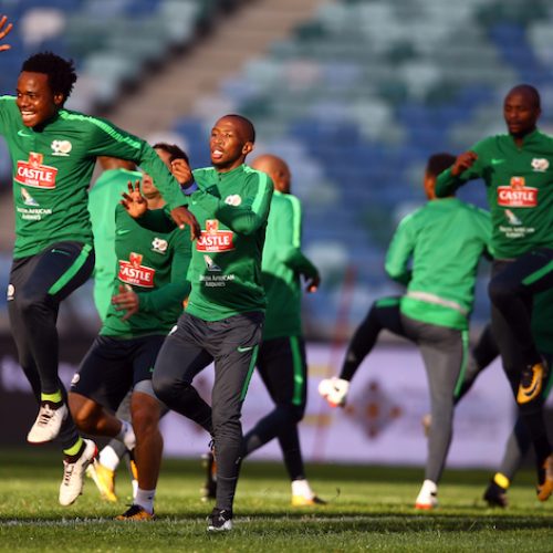 Bafana Bafana friendly called off