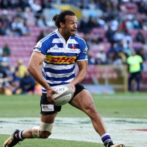 Sharks, Province welcome back Boks