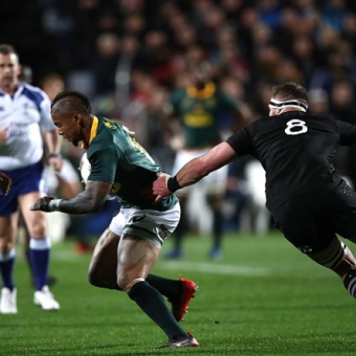 Springboks won’t be conservative