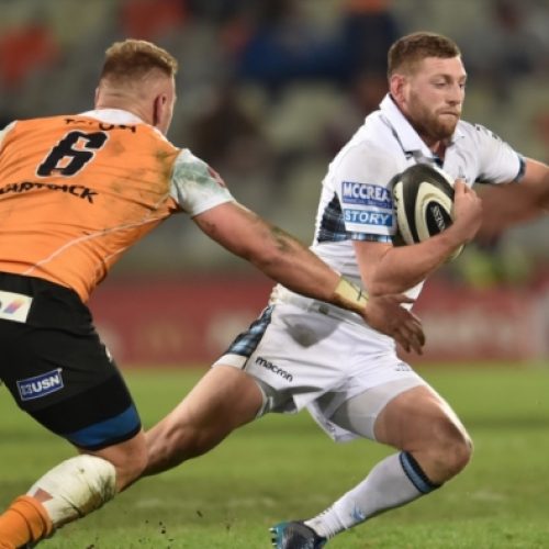 Glasgow end Cheetahs’ winning run