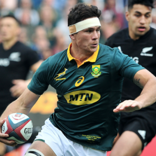 Louw available for Bok tour