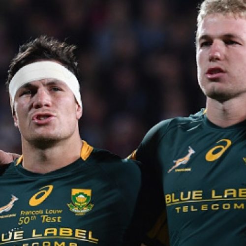 Coetzee: Back-row balance is perfect