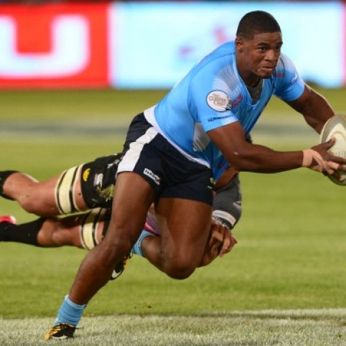 Bulls batter Pumas to stay alive