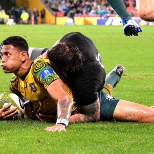 Wallabies stun All Blacks