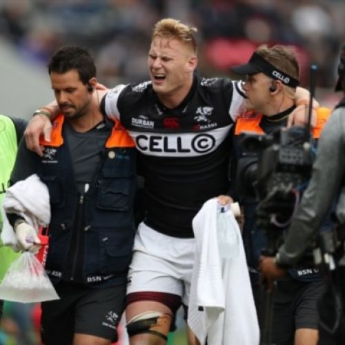 Du Preez blow for Boks