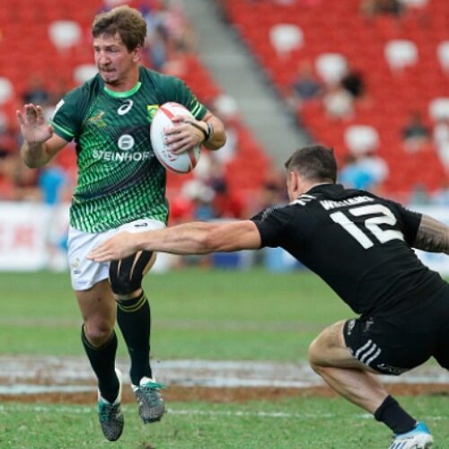 Powell: Kwagga can do well for Boks