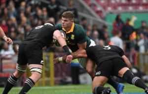 Read more about the article Gold: Springboks exorcised Albany demons