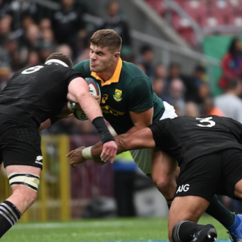 Gold: Springboks exorcised Albany demons