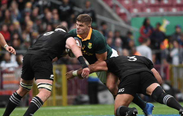 You are currently viewing Gold: Springboks exorcised Albany demons