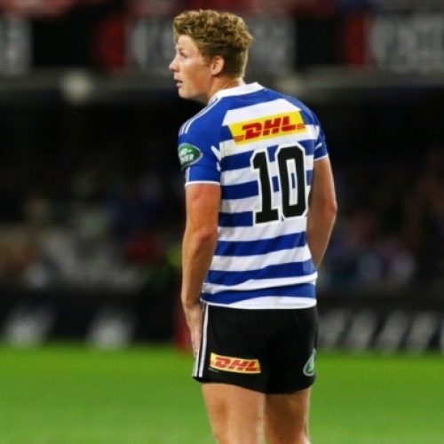 Flyhalf focus in Kings Park clash