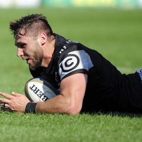 Botha called up to Springbok squad