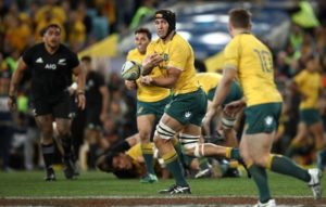 Read more about the article Wallabies change one for All Blacks Test