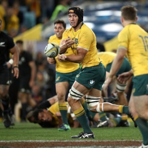 Wallabies change one for All Blacks Test