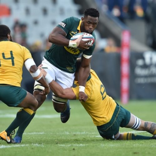 Kolisi: Springboks will go all out