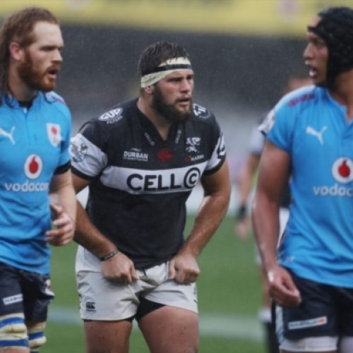 Mitchell: Pressure on Sharks to perform