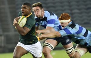 Read more about the article Gold: Gelant should tour with Springboks