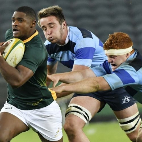 Gold: Gelant should tour with Springboks