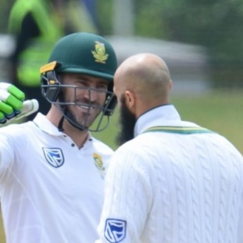 Amla, Du Plessis plough on