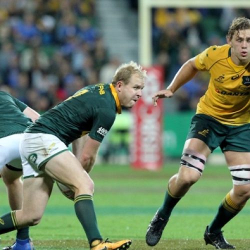 Springboks thin in key positions