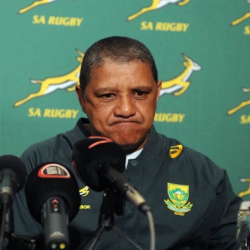 Coetzee installs Ireland as favourites