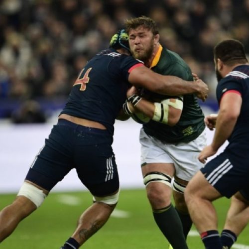 Springboks push for ‘final’ flourish