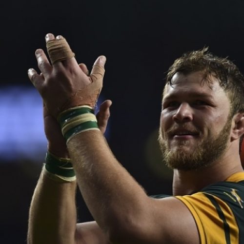 Vermeulen called up by Boks