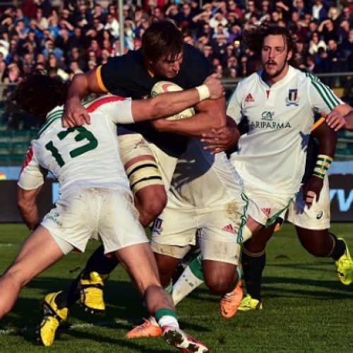 Preview: Springboks vs Italy